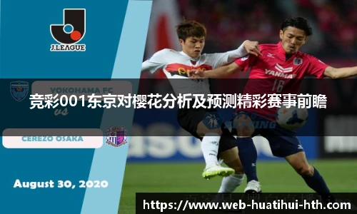 华体会hth sports